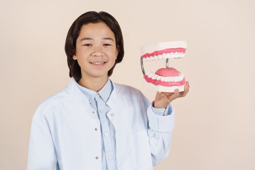 04小児矯正-抜かない - 小児矯正は北海道北広島市にある歯医者のさいわいデンタルクリニック札幌大曲