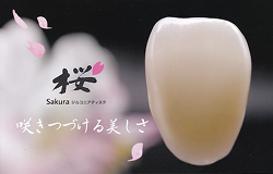 さいわいデンタルクリニック かぶせもの・つめもの 桜ジルコニア